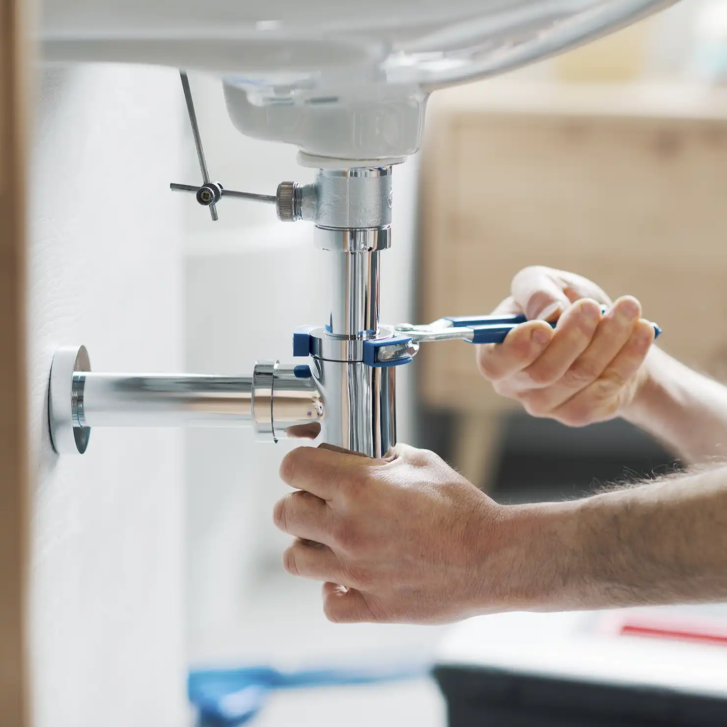 shutterstock_2463866261